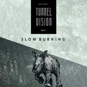 nextpop tunnel vision slow burning