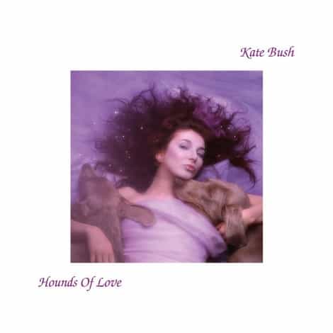 hounds_of_love